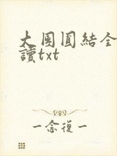 大团圆结全文阅读txt