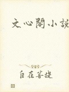 文心阁小说