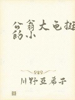 公翁大龟挺进我的小