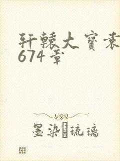 轩辕大宝袁雪妃674章