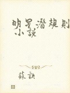 明星潜规则之皇 小说