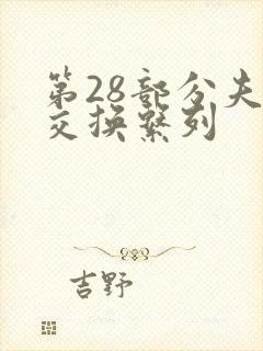 第28部分夫妇交换系列