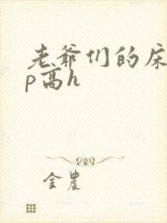 老爷们的床奴np高h