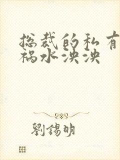 总裁的私有宝贝祸水泱泱