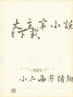 大主宰小说txt下载