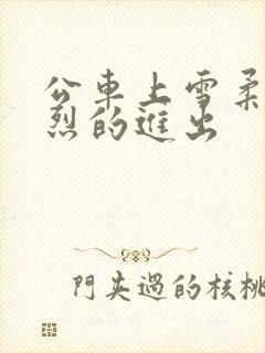 公车上雪柔被猛烈的进出