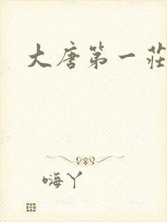 大唐第一庄