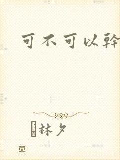 可不可以干湿你