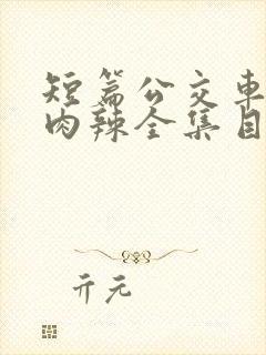 短篇公交车高h肉辣全集目录