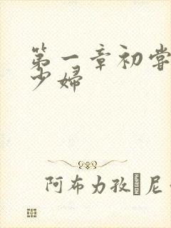 第一章初尝极品少妇