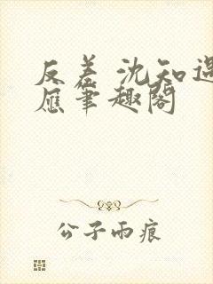 反差 沈知遇晏应笔趣阁