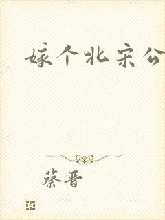 嫁个北宋公务员