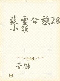苏雪公憩28篇小说