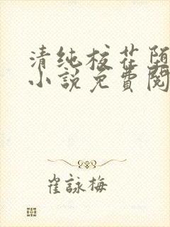 清纯校花堕落记小说免费阅读