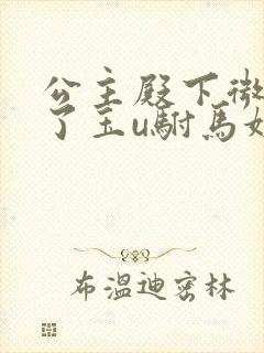 公主殿下微臣馋了玉u驸马姓傅