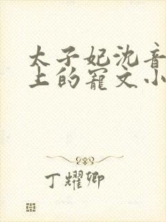 太子妃沈音和皇上的宠文小说