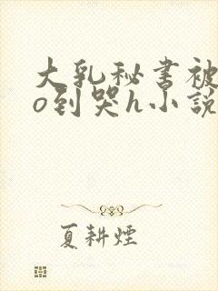 大乳秘书被cao到哭h小说