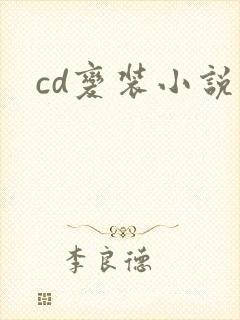 cd变装小说