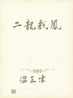 二龙戏凤