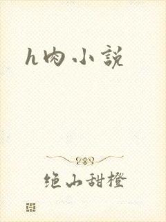 h肉小说