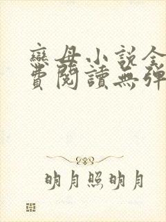 恋母小说全文免费阅读无弹窗笔趣阁