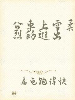 公车上雪柔被猛烈的进出