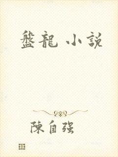 盘龙 小说