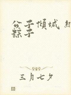 公子倾城 维和粽子