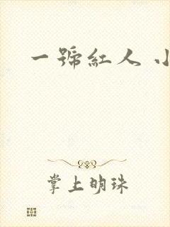 一号红人 小说