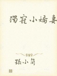 独宠小娇妻