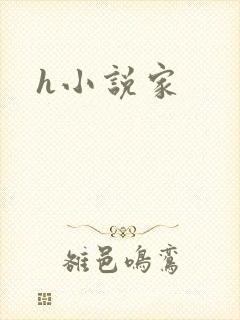 h小说家