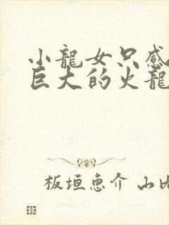 小龙女只感觉那巨大的火龙枪