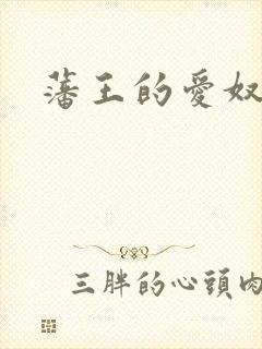 藩王的爱奴