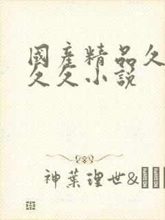 国产精品久久久久久小说