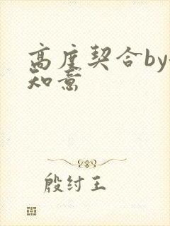 高度契合by洛知意