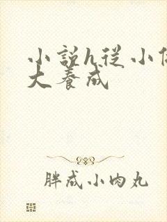 小说h从小做到大养成