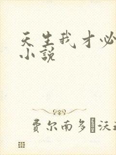 天生我才必有用小说