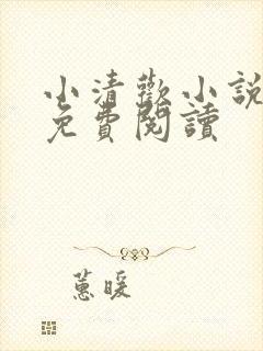 小清欢小说全文免费阅读