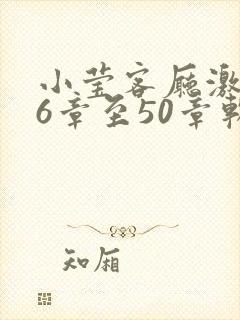 小莹客厅激情46章至50章软件介绍