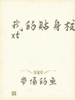 我的贴身校花txt