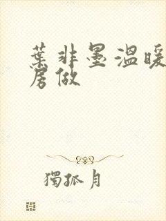 叶非墨温暖在厨房做