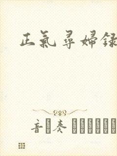 正气寻妇录