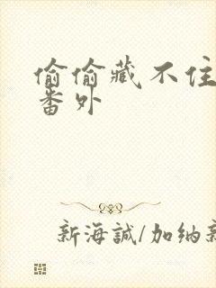 偷偷藏不住新婚番外