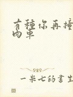 有种你再撞一下肉车