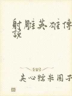 射雕英雄传 小说