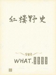 红楼野史