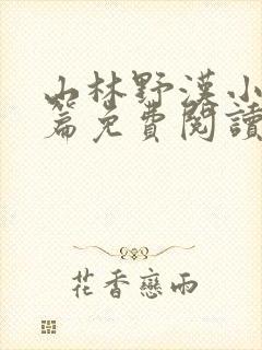 山林野汉小说全篇免费阅读