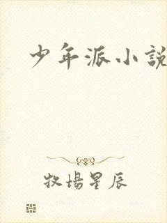 少年派小说