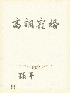 高调宠婚