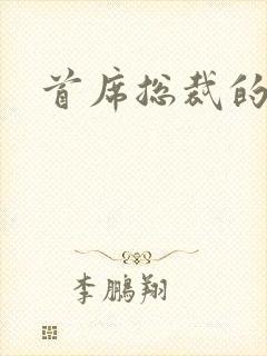 首席总裁的逃妻